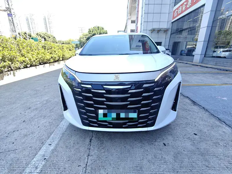 2025 BYD Xia (M9) с пробегом 34 900 км