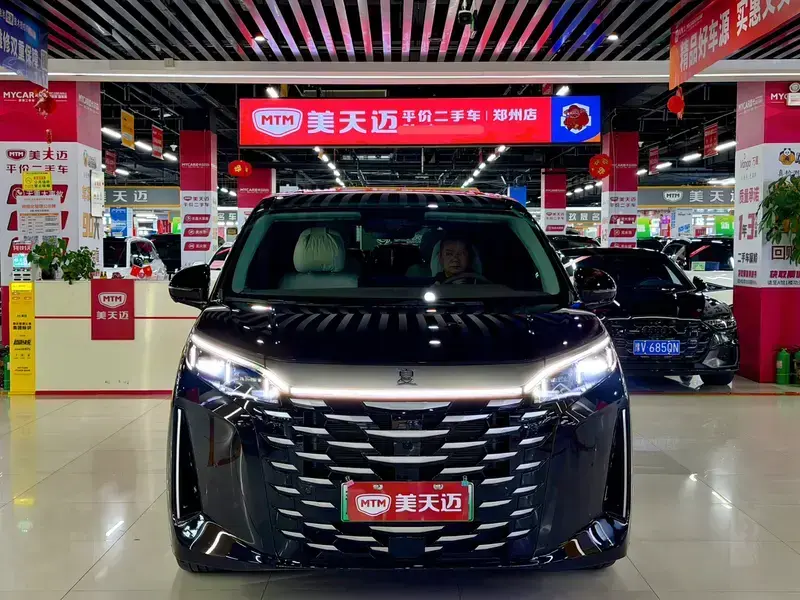 2025 BYD Xia (M9) с пробегом 11 000 км