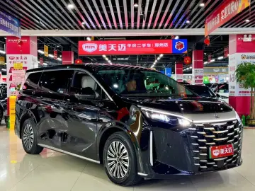 2025 BYD Xia (M9) с пробегом 11 000 км