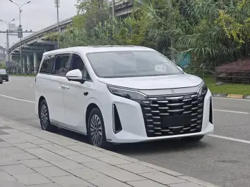2025 BYD Xia (M9) с пробегом 49 200 км