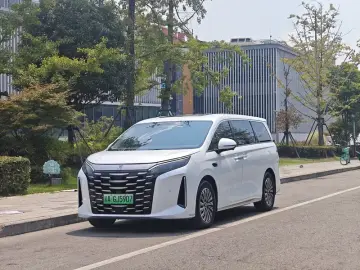BYD Xia (M9)