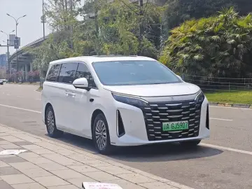 2025 BYD Xia (M9) с пробегом 23 000 км