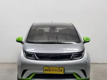 2021 BYD Dolphin с пробегом 117 800 км