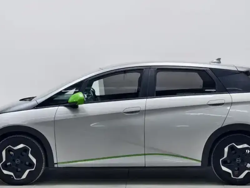 2021 BYD Dolphin с пробегом 117 800 км