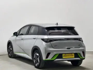 2021 BYD Dolphin с пробегом 117 800 км