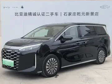 BYD Xia (M9)