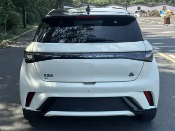 2023 BYD Dolphin с пробегом 54 900 км