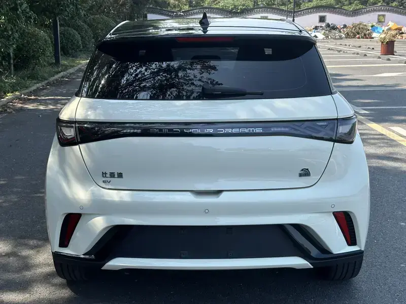 2023 BYD Dolphin с пробегом 54 900 км