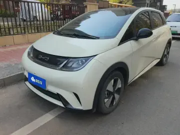 2023 BYD Dolphin с пробегом 55 000 км