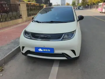2023 BYD Dolphin с пробегом 55 000 км