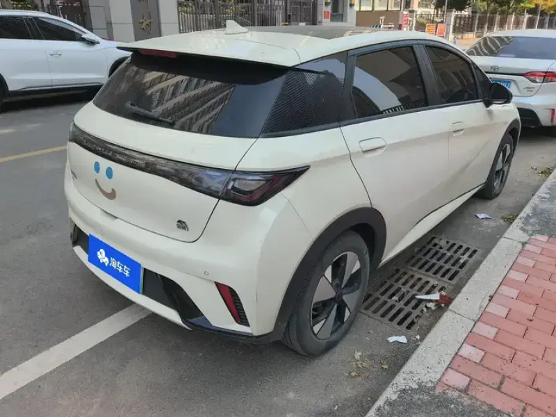 2023 BYD Dolphin с пробегом 55 000 км