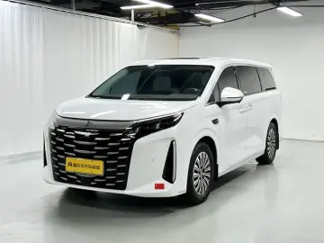 BYD Xia (M9)
