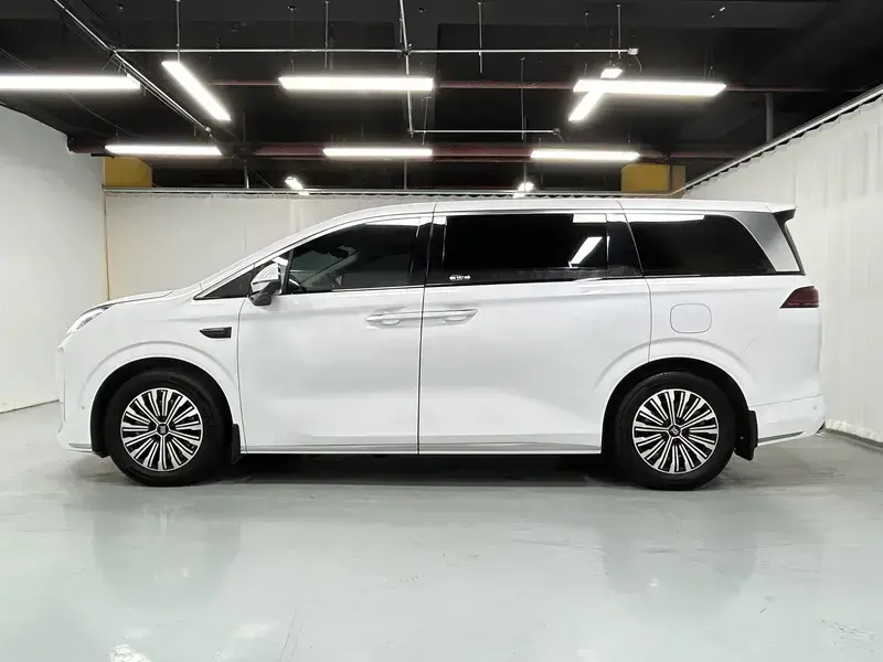 2025 BYD Xia (M9) с пробегом 21 500 км