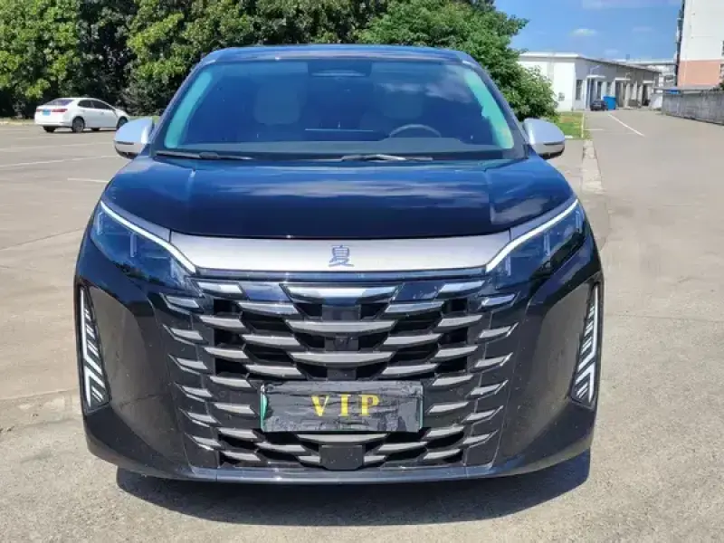 2025 BYD Xia (M9) с пробегом 25 000 км