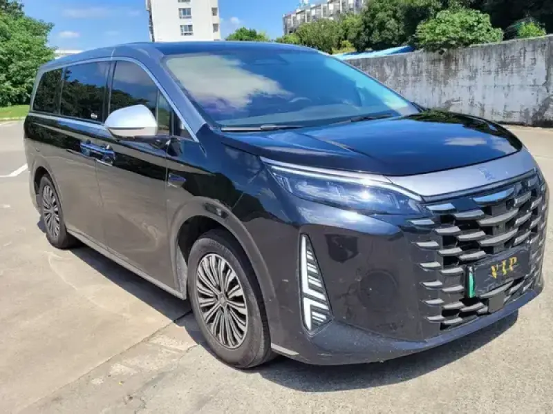 2025 BYD Xia (M9) с пробегом 25 000 км