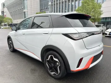 2021 BYD Dolphin с пробегом 29 000 км