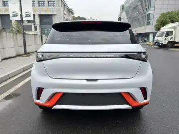 2021 BYD Dolphin с пробегом 29 000 км