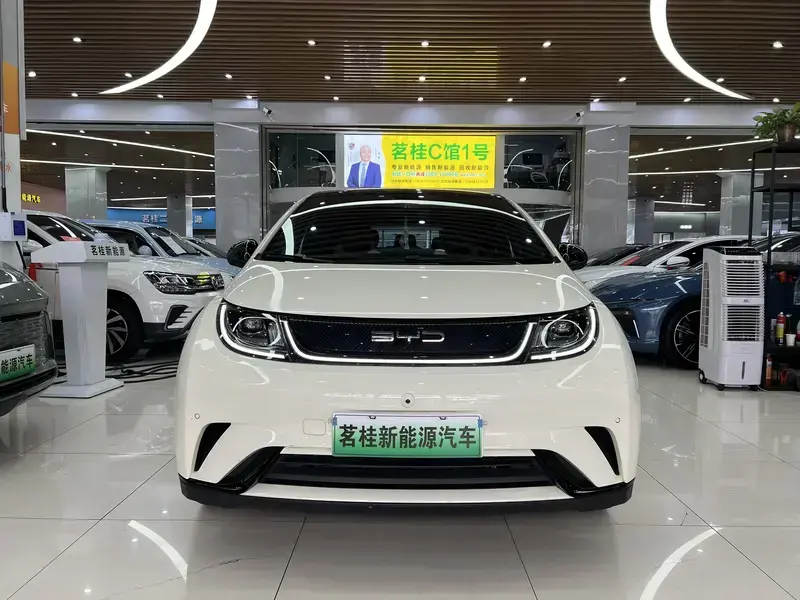 2023 BYD Dolphin с пробегом 22 000 км