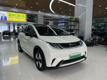 2023 BYD Dolphin с пробегом 22 000 км
