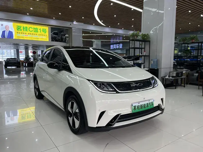 2023 BYD Dolphin с пробегом 22 000 км