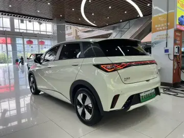 2023 BYD Dolphin с пробегом 22 000 км