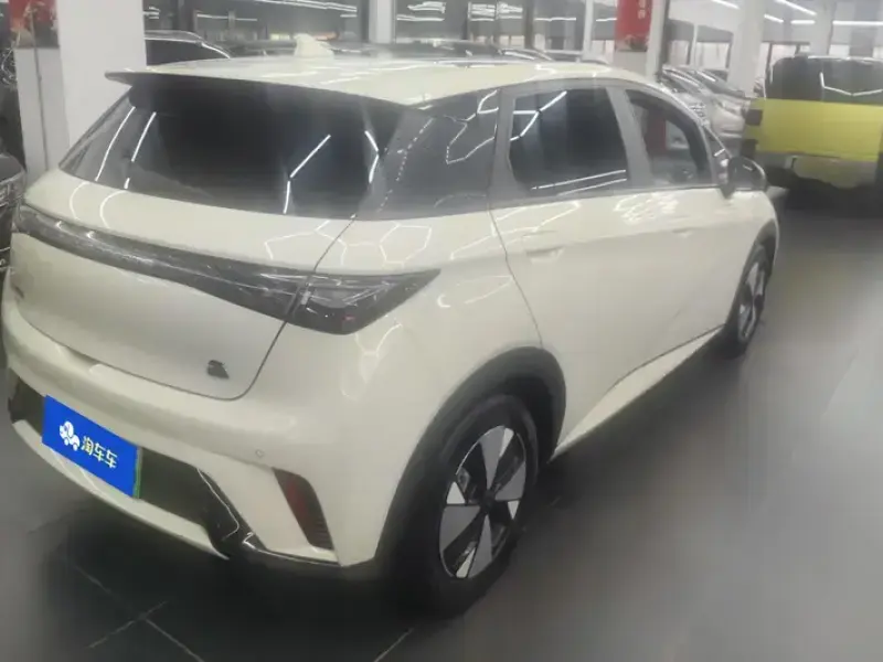 2023 BYD Dolphin с пробегом 50 000 км