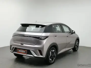 2021 BYD Dolphin с пробегом 52 500 км