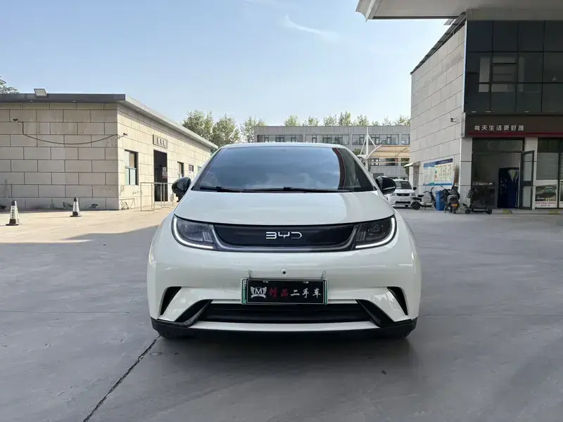 2025 BYD Dolphin с пробегом 26 000 км
