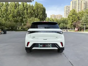 2025 BYD Dolphin с пробегом 26 000 км