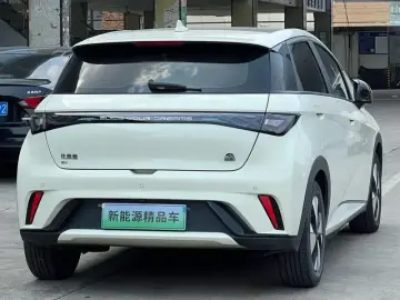 2023 BYD Dolphin с пробегом 70 000 км