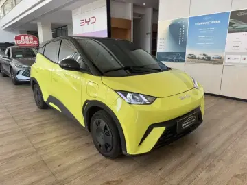 2024 BYD Seagull с пробегом 32 000 км