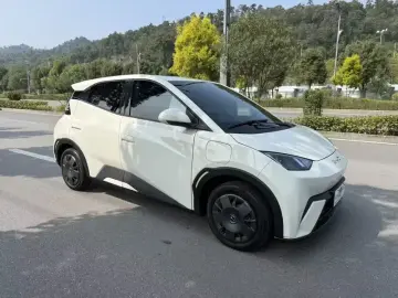 2023 BYD Seagull с пробегом 20 000 км
