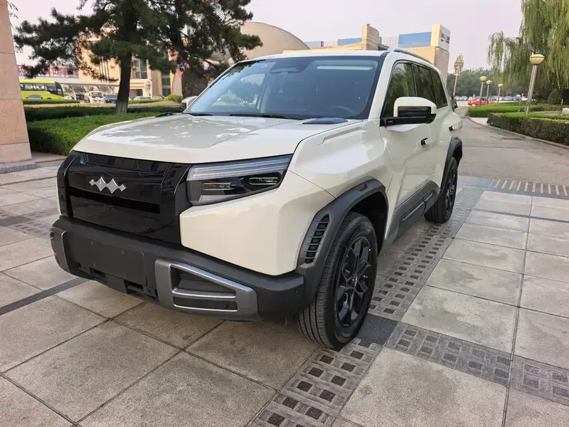 2025 BYD FangChengBao Titanium 3 с пробегом 35 000 км
