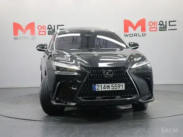 2025 Lexus NX с пробегом 28 062 км