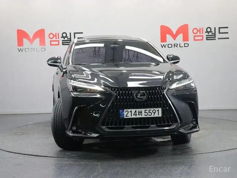 2025 Lexus NX с пробегом 28 062 км