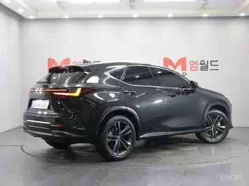 2025 Lexus NX с пробегом 28 062 км