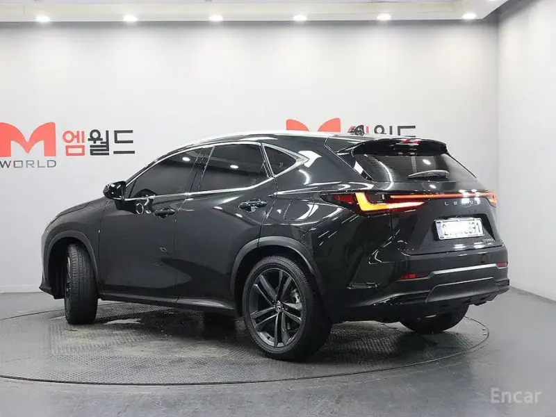 2025 Lexus NX с пробегом 28 062 км