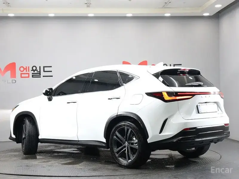 2026 Lexus NX с пробегом 6 262 км
