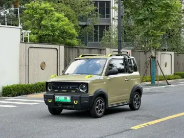 Geely Panda