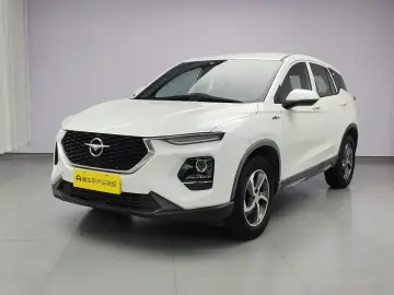 Haima 8S