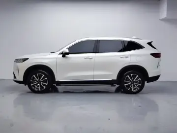 2021 Haval H6 с пробегом 46 900 км