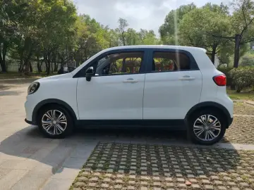 2021 Leapmotor T03 с пробегом 81 000 км