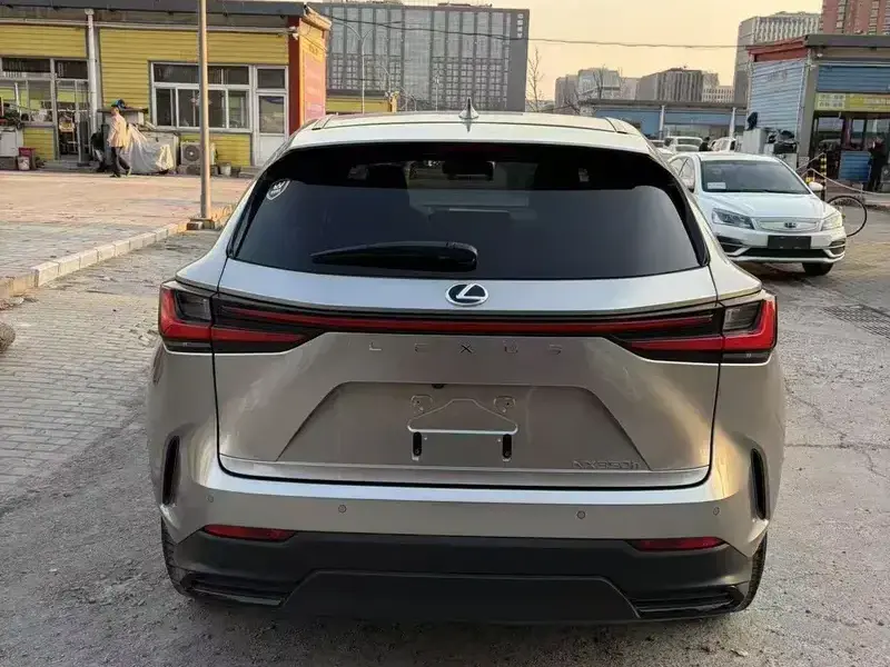 2024 Lexus NX с пробегом 18 000 км