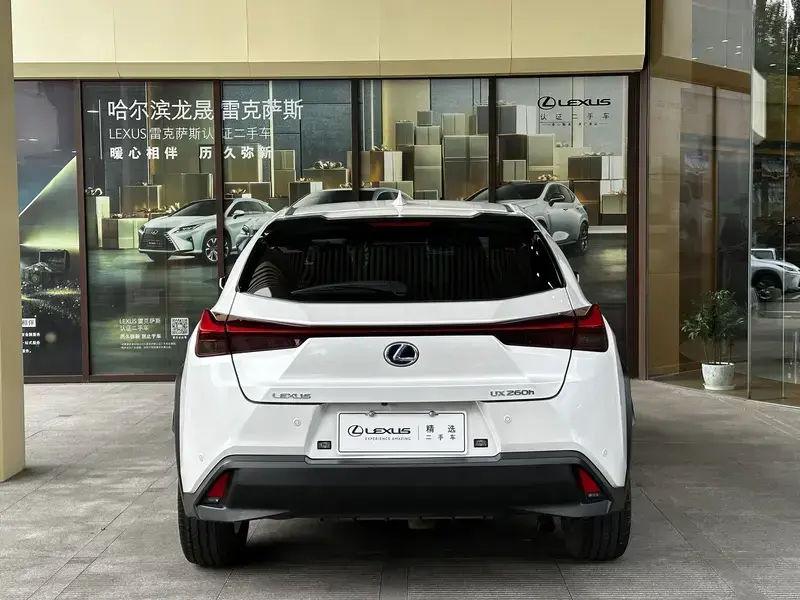 2020 Lexus UX с пробегом 143 000 км