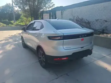 2018 Ora iQ с пробегом 126 000 км