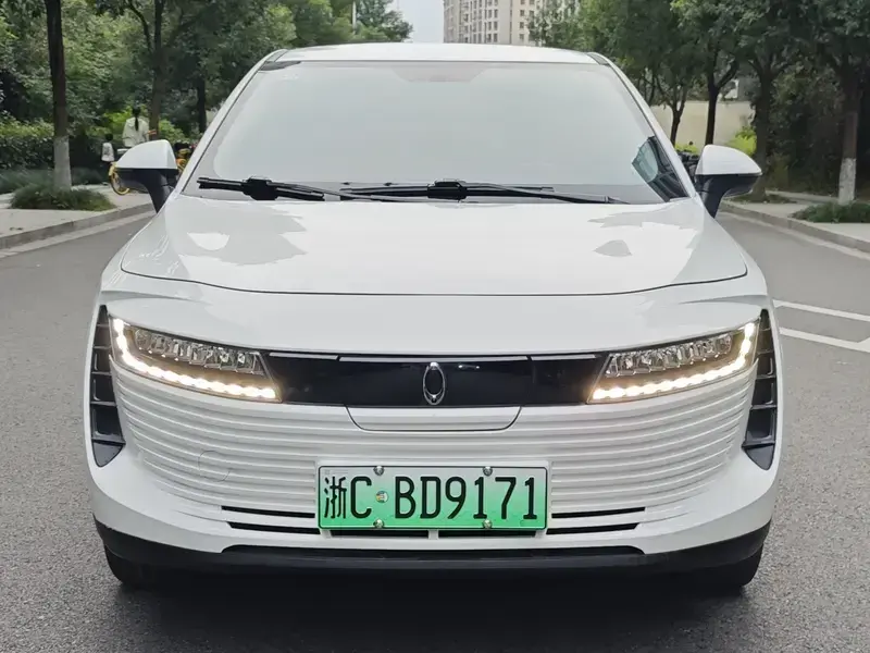 2018 Ora iQ с пробегом 110 000 км
