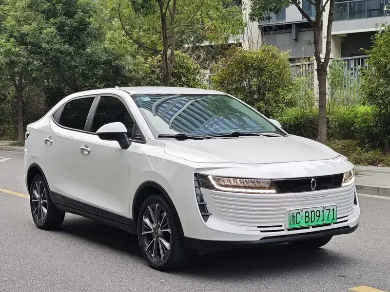 2018 Ora iQ с пробегом 110 000 км
