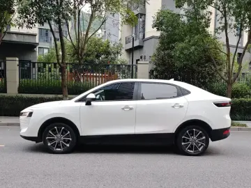 2018 Ora iQ с пробегом 110 000 км
