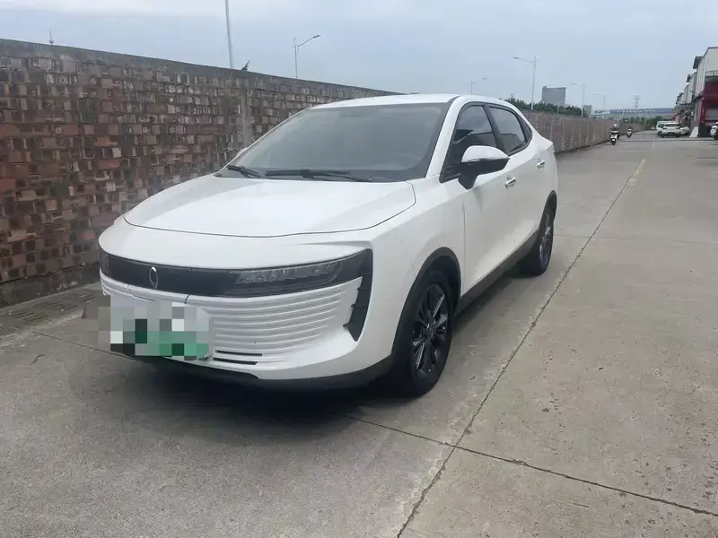 2019 Ora iQ с пробегом 74 100 км