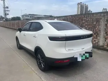 2019 Ora iQ с пробегом 74 100 км